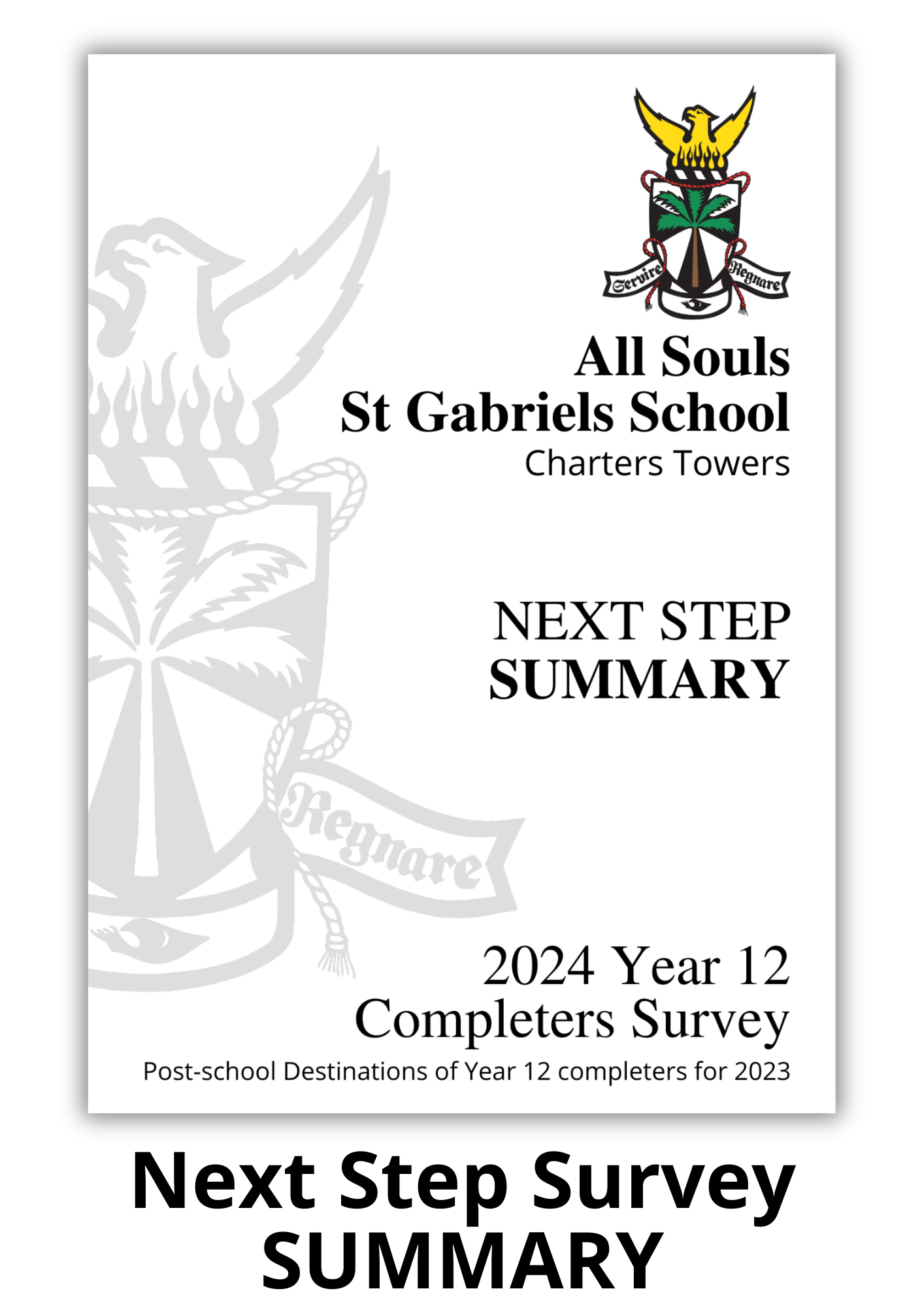 2024 Next Step Summary Survey