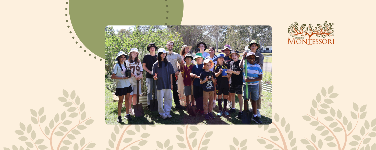 Butterfly vines