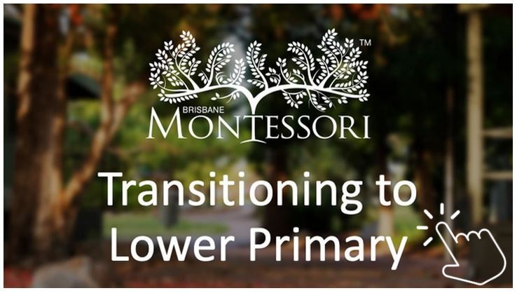 Transitioning to Lower Primary