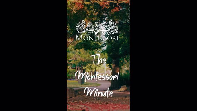 Montessori minute