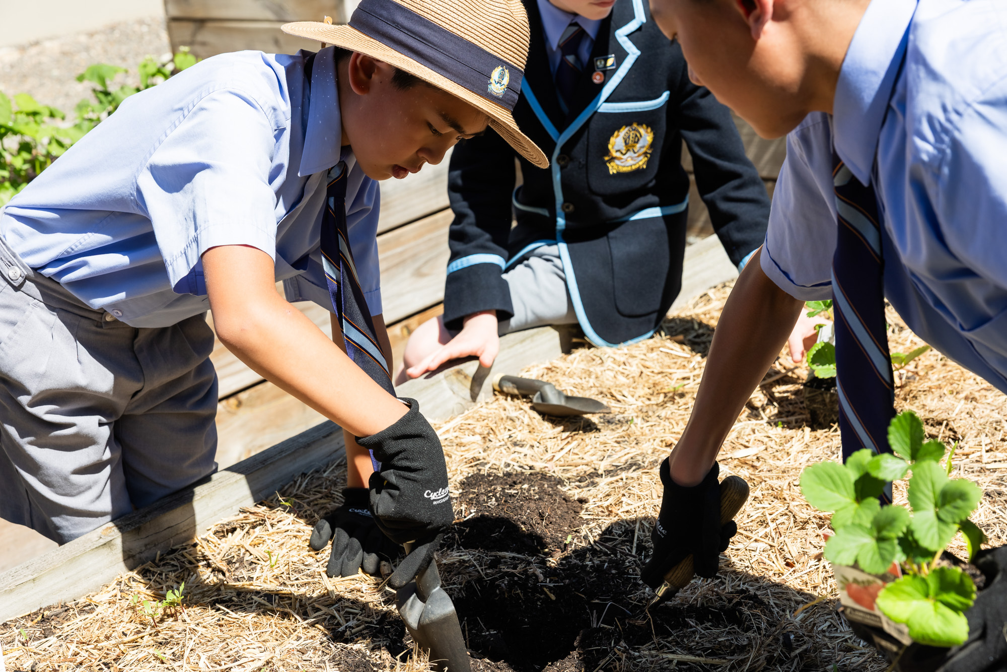 A Snapshot of Student Involvement