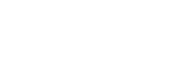 Digistorm logo