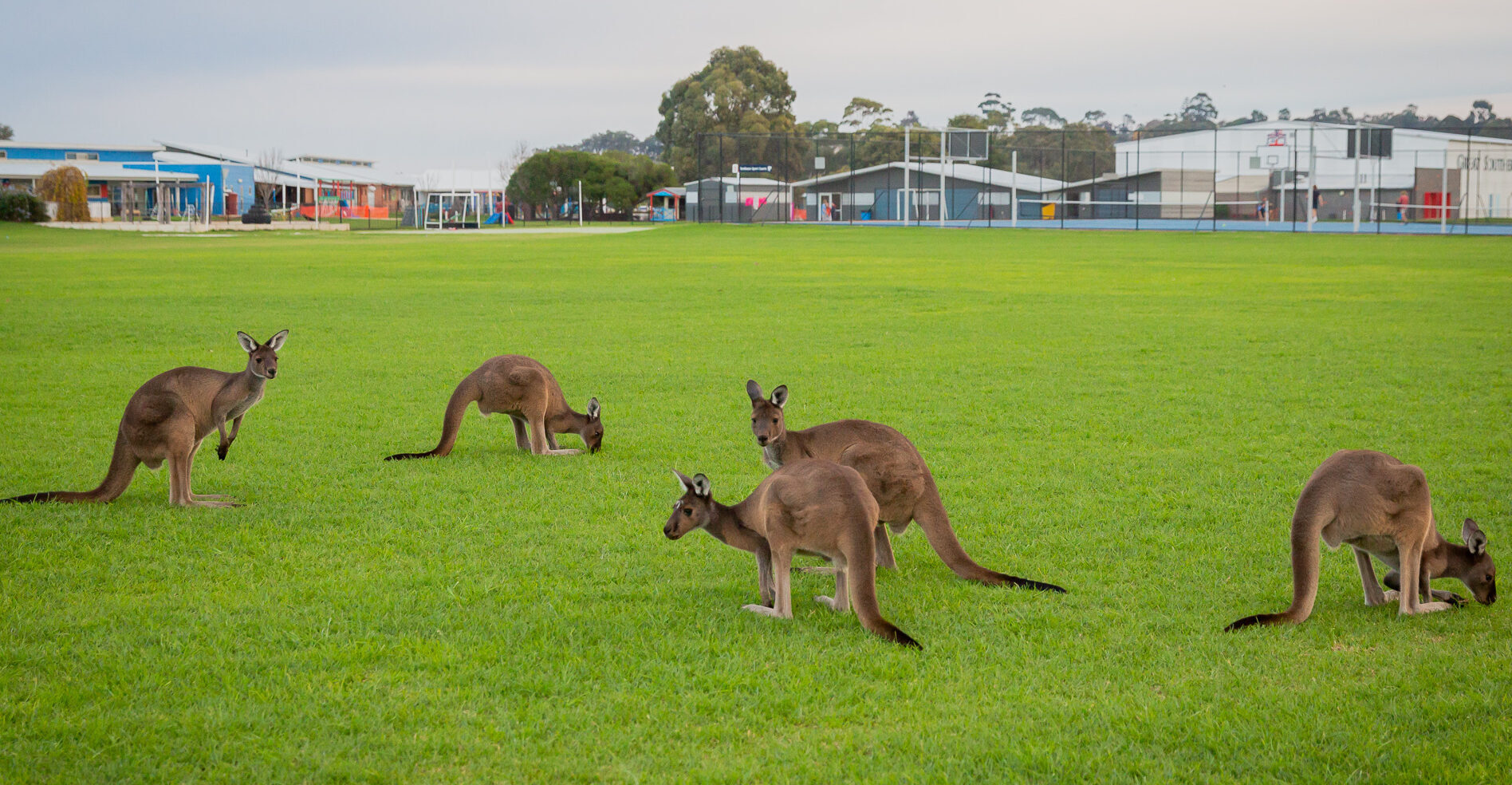 Whole School Campus Virtual Tour