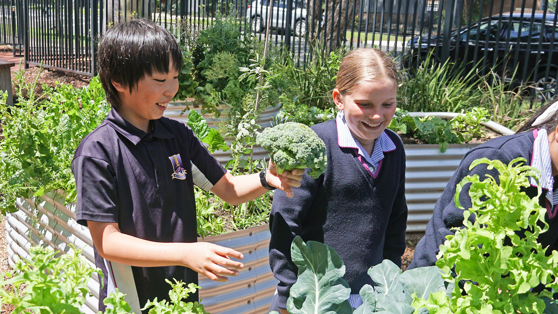 Sustainability Gardening Club