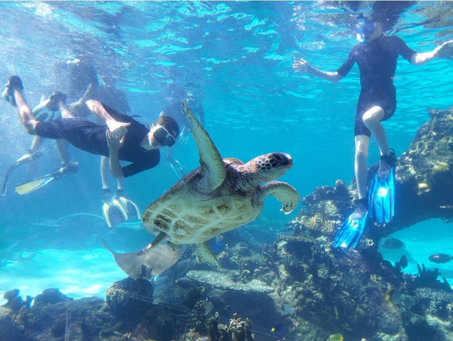 Georgraphy excursion to SeaWorld