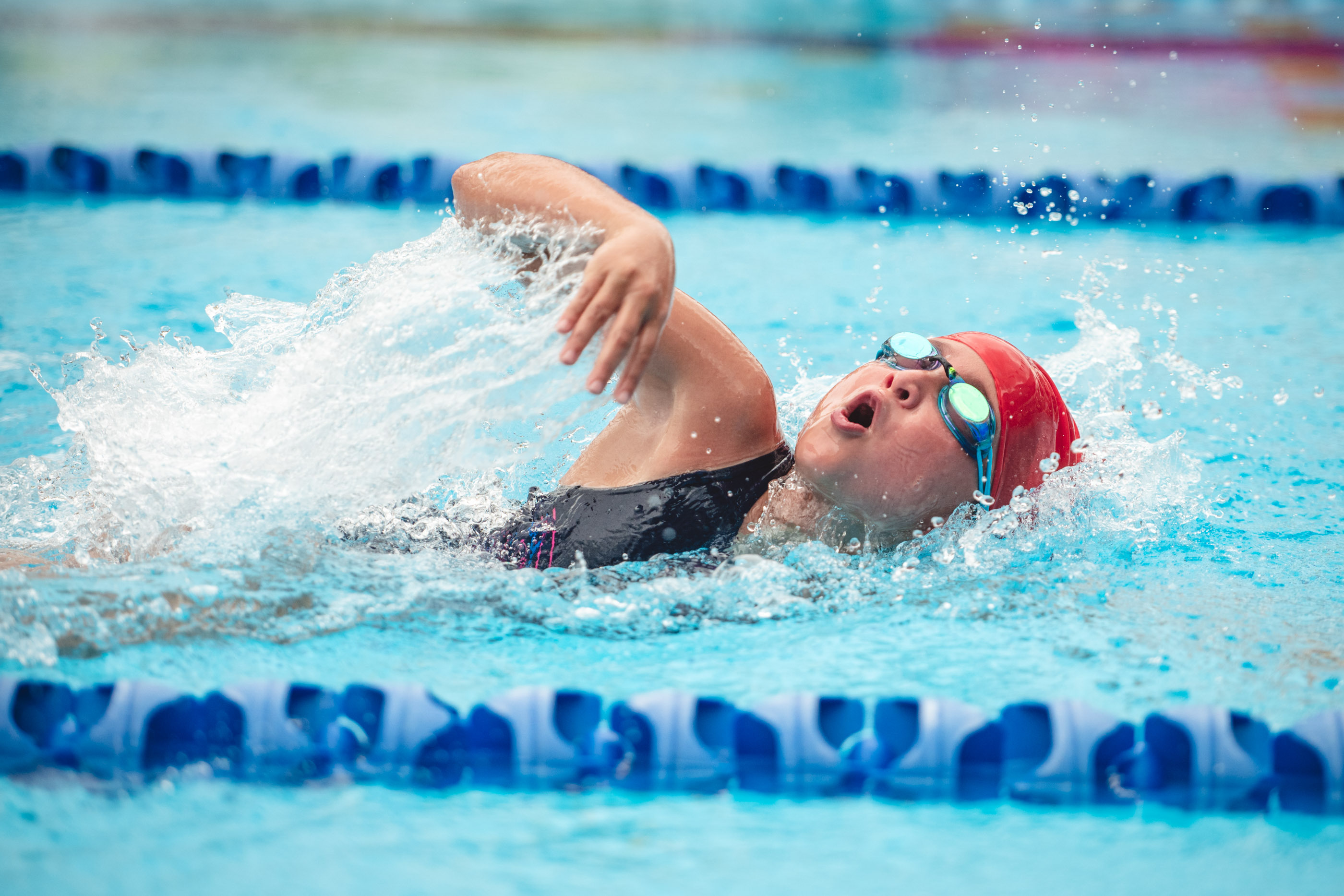 Primary School Swimming Carnival