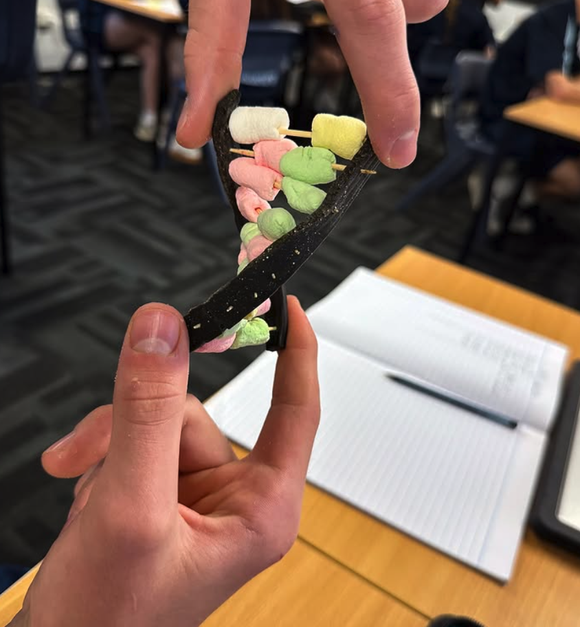 KTTC Year 10 Sweet Science