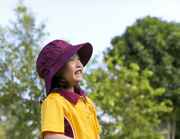 Developing inquiring minds