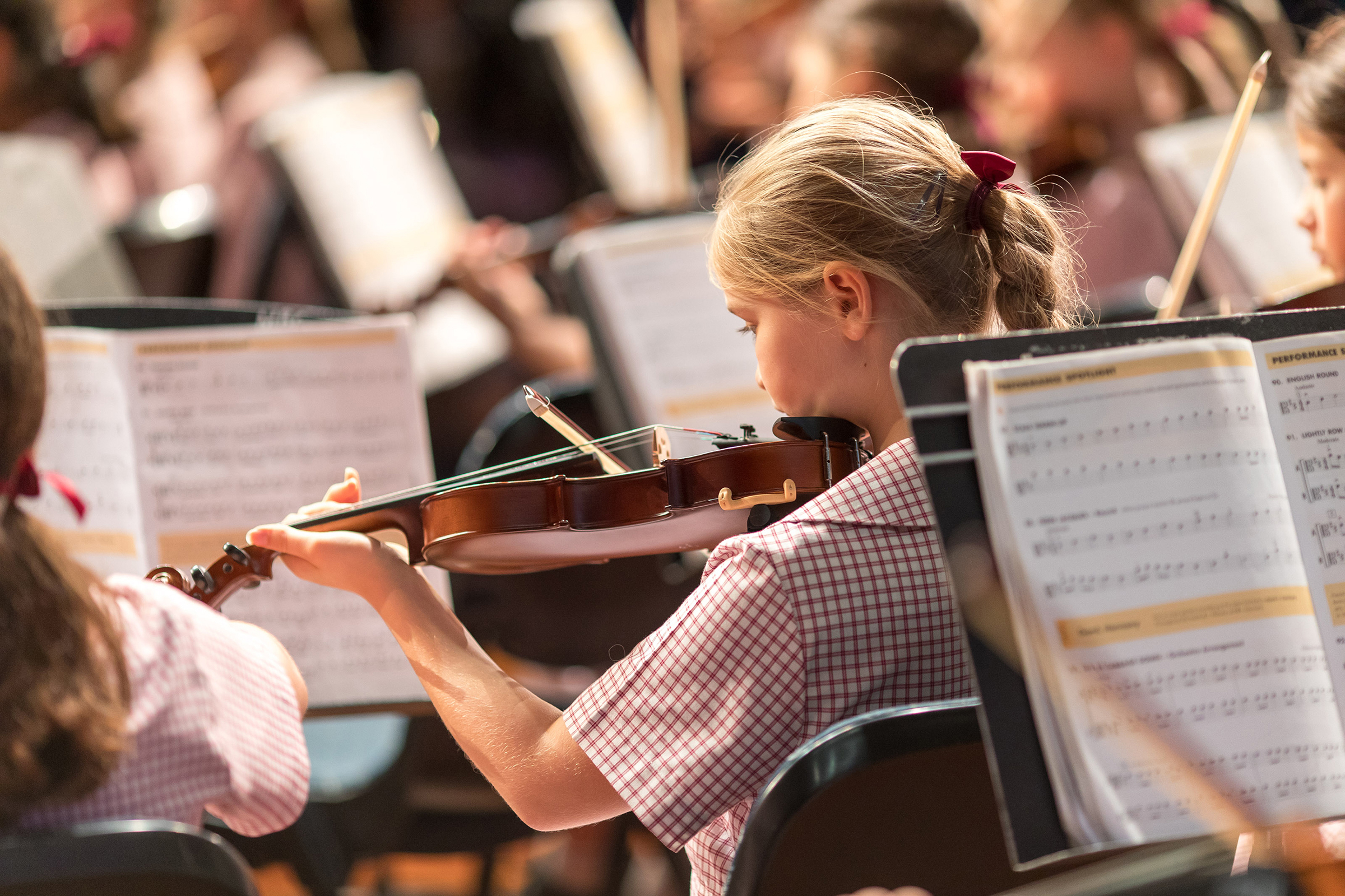 Primary Immersion programme