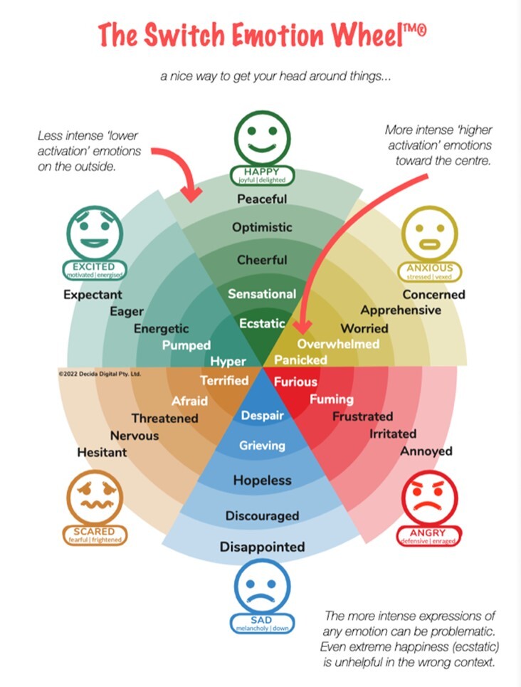 Switch Emotion Wheel