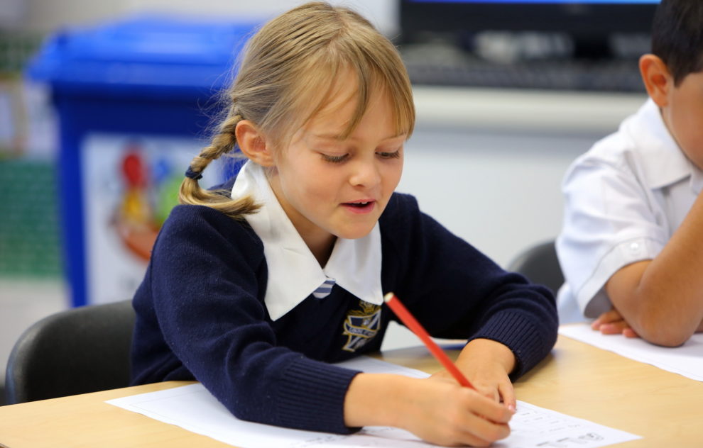 Students engage in a wide variety of activities.