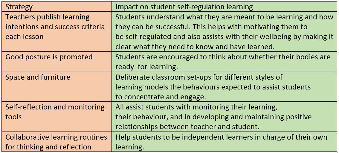 Self-regulation strategies