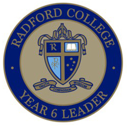 Year 6 leadership badge