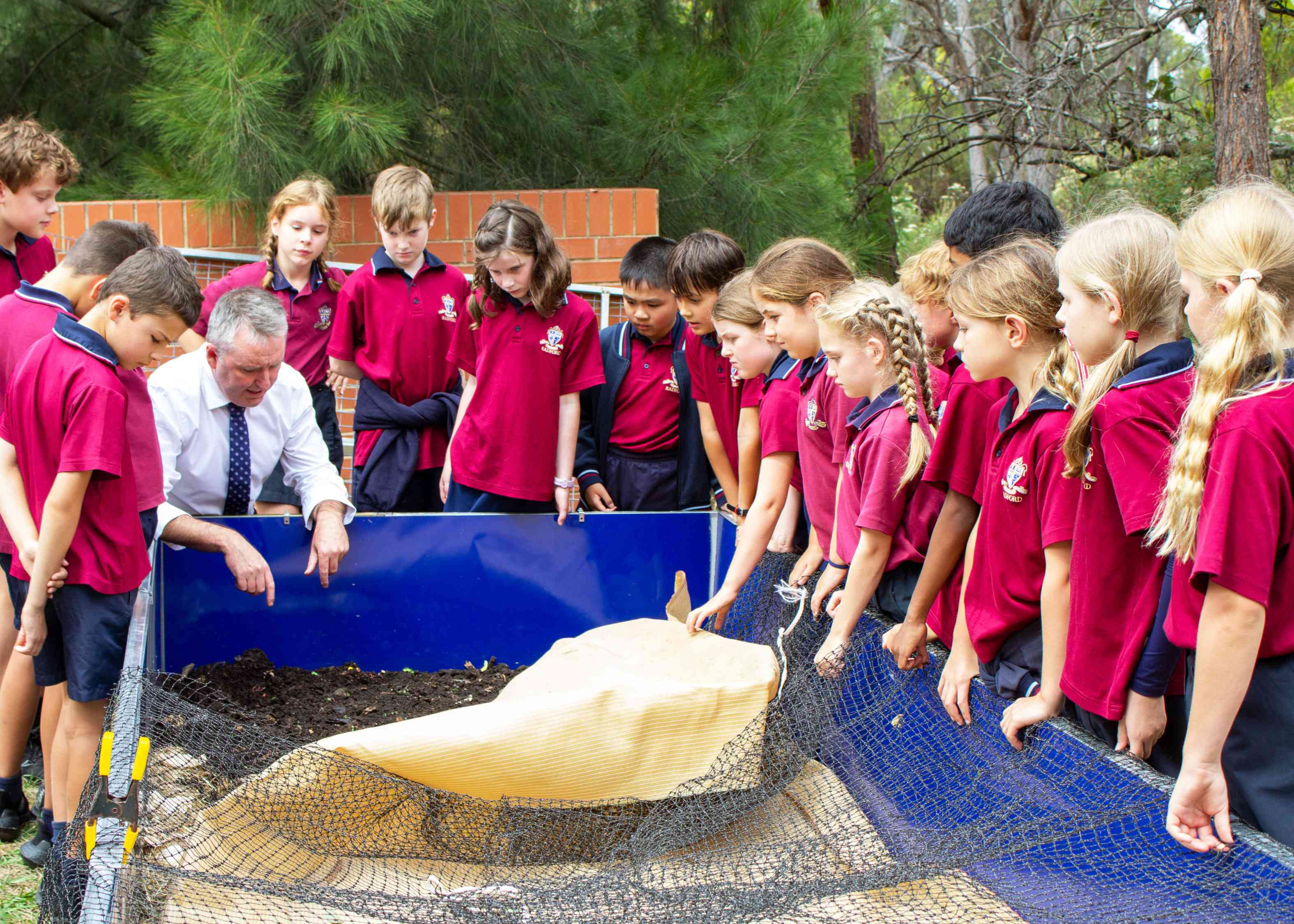 Mr O'Brien and class 4DO explore the worm farm.