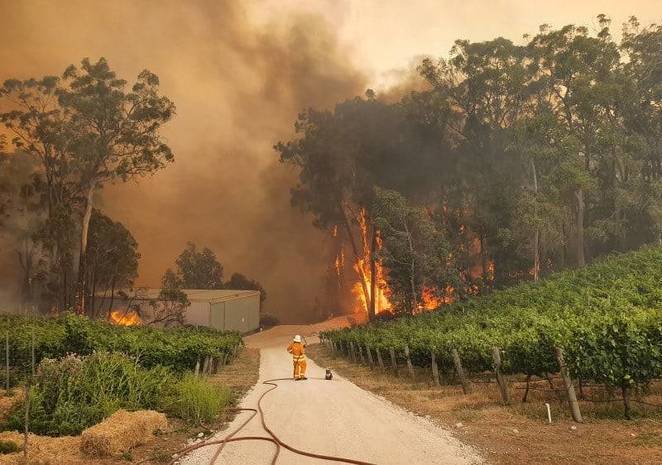 Bushfire.jpg?mtime=20200717100607#asset:16322