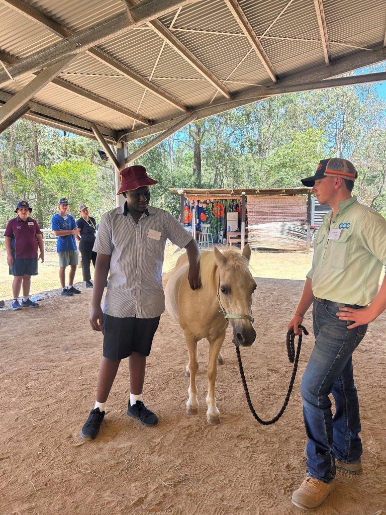 Equine Program Pic 2