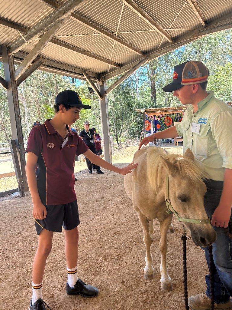 Equine Program Pic 3