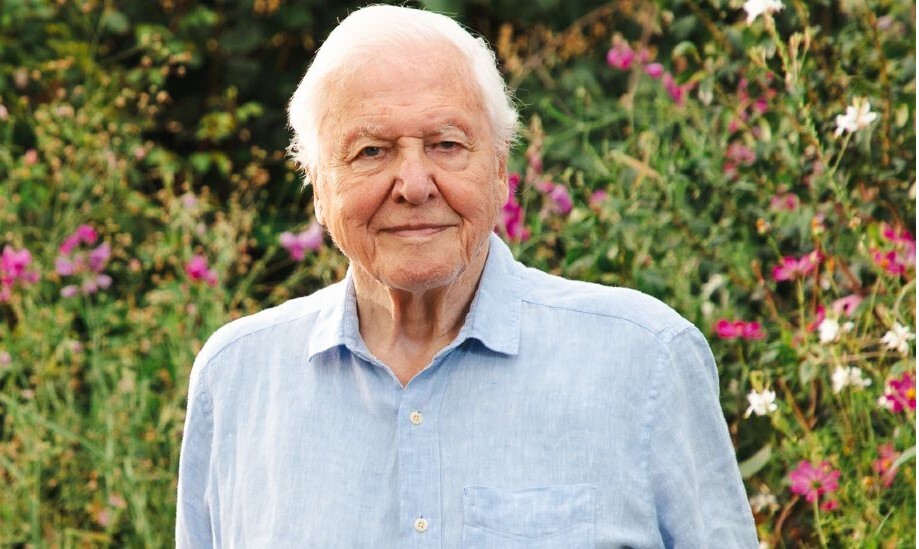Andrée – Sir David Attenborough