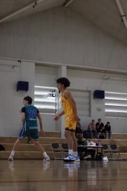 Big 6 Basketball - Pic 2