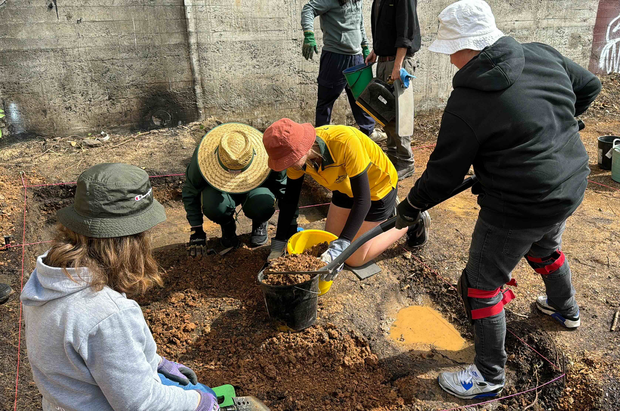 Enhanced Learning Fundamentals (ELF)