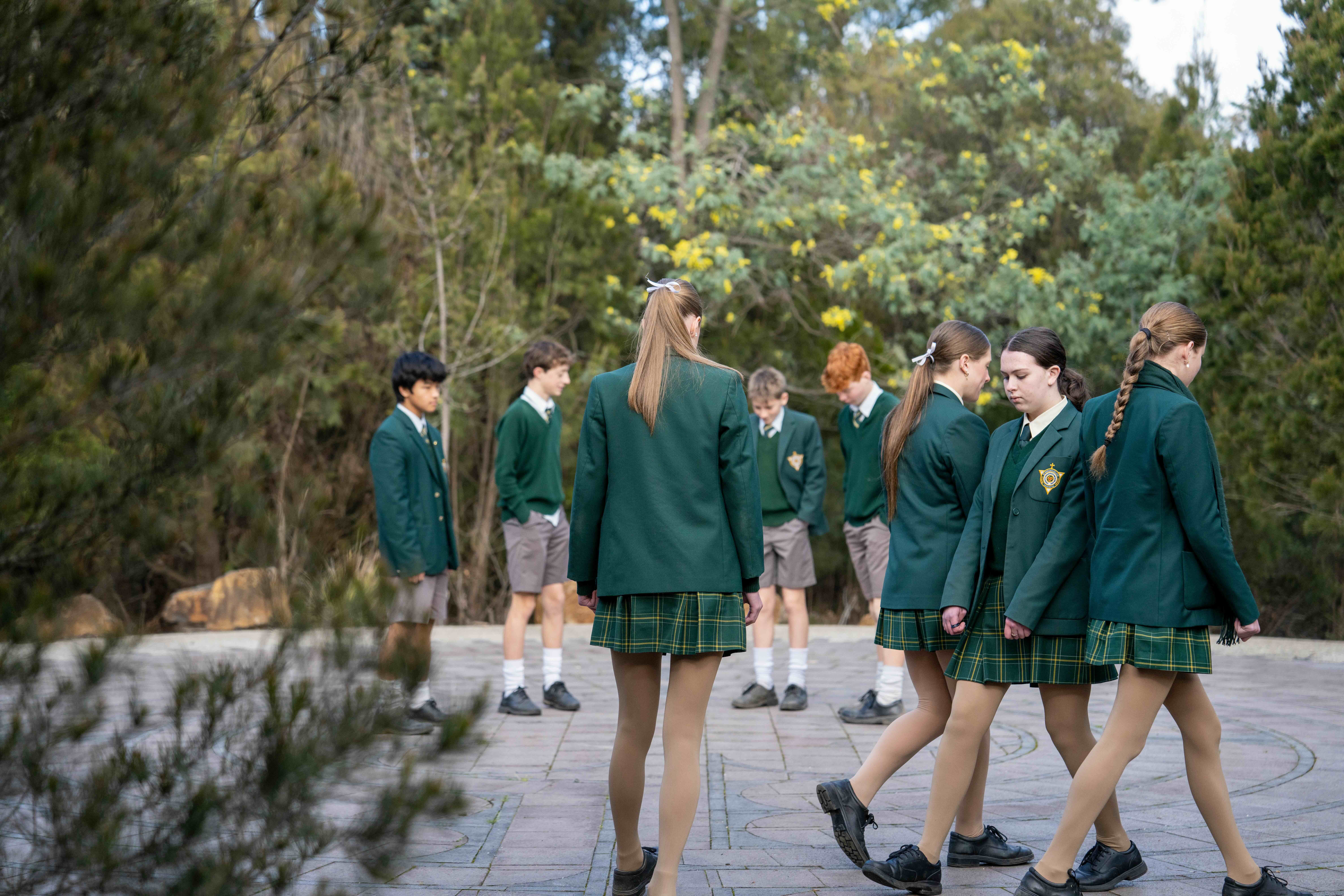 Dedicated Curriculum